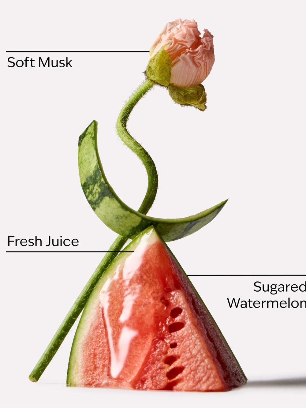 Fruit Fusion Watermelon Whirl Body Wash & Skin Care Set by Bath & Body Works - Picture 10 of 13